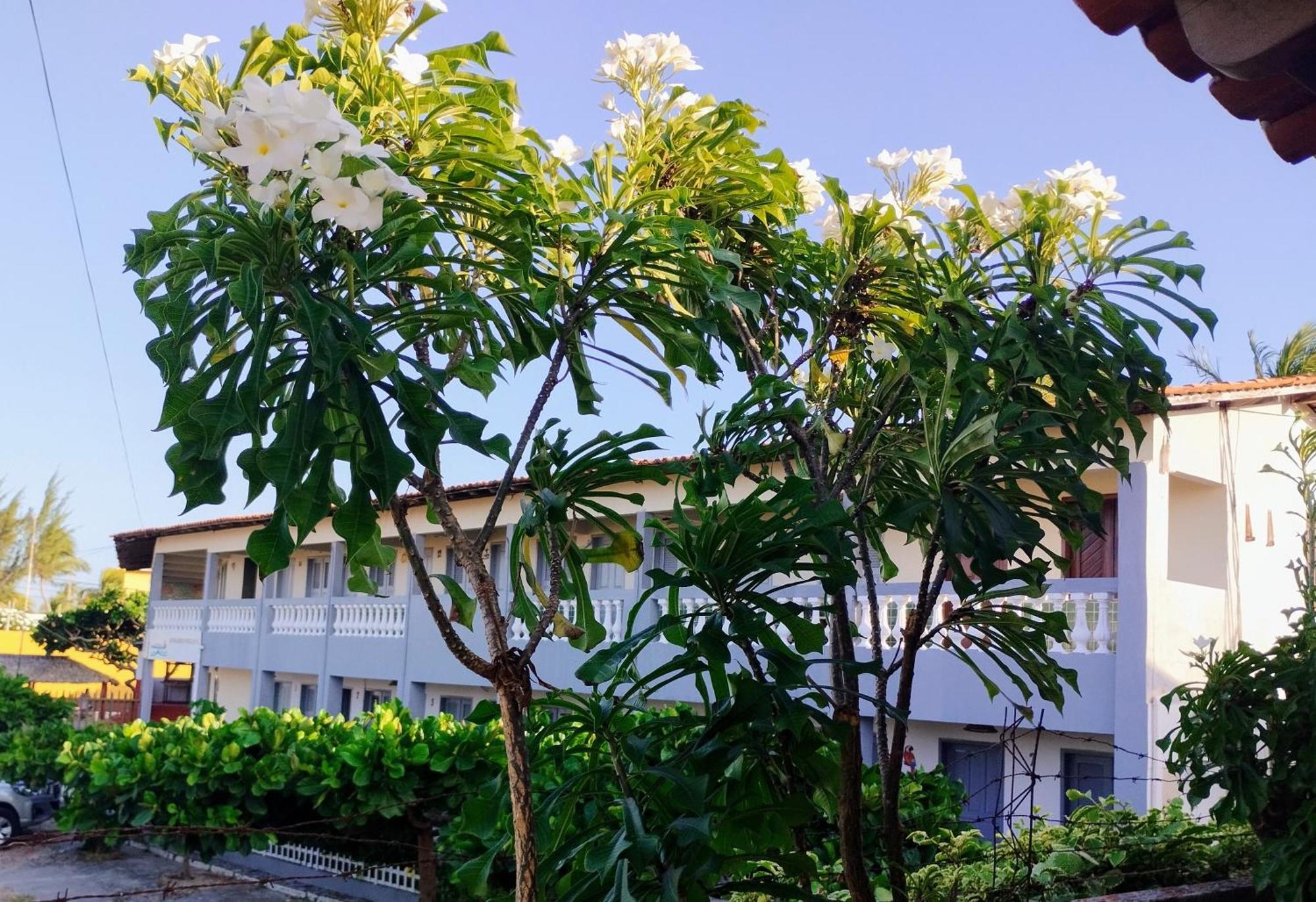Pousada Embarcacao Hotel Tutoia Luaran gambar